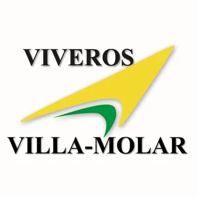 villamolar.com's icon