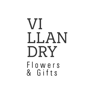 villandryflores.com.py's icon