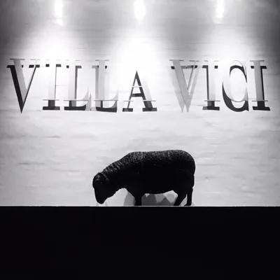 villavici.com's icon