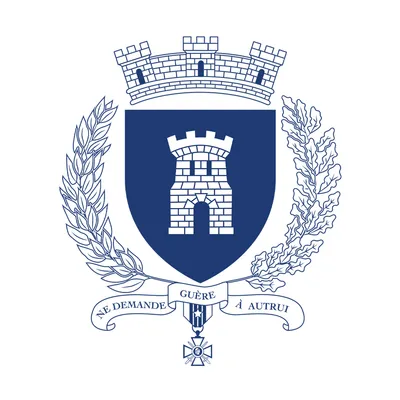 ville-vierzon.fr's icon