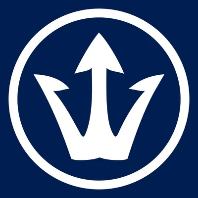 vincentini.de's icon