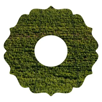 vinedosbalmoral.com's icon