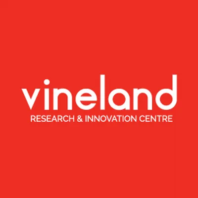 vinelandresearch.com's icon