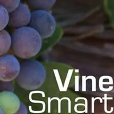 vinesmart.com's icon