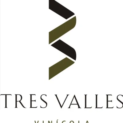 vinostresvalles.com's icon
