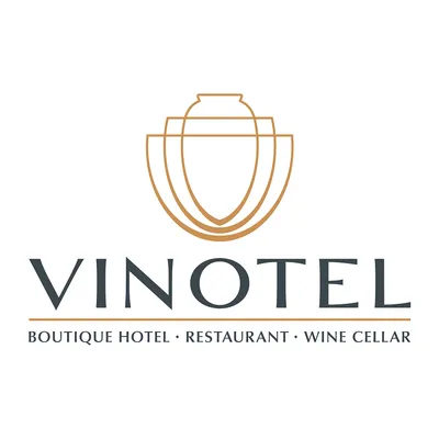 vinotel.ge's icon