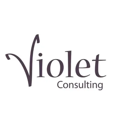 violet-consulting.hu's icon