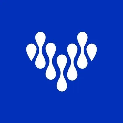 virgu.com's icon