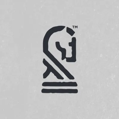 viribussolutionsllc.com's icon