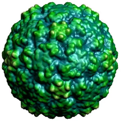 virologydownunder.com's icon