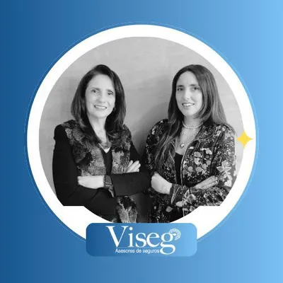 visegseguros.com's icon
