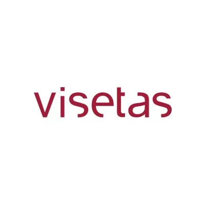 visetas.lt's icon