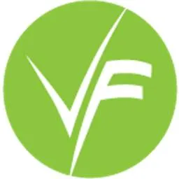visioforge.com's icon