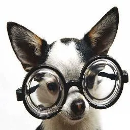 visionsource-beckmanoptometry.com's icon