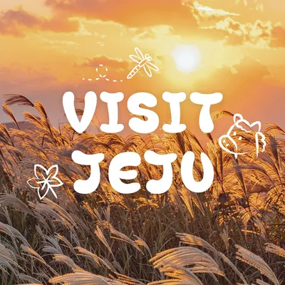visitjeju.net's icon