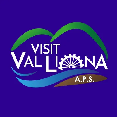 visitvalliona.org's icon