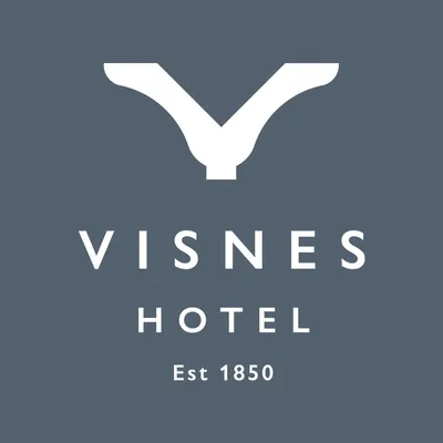 visneshotel.no's icon