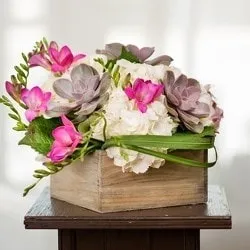 vissersflorist.com's icon