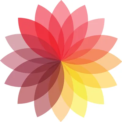 vistaflor.com's icon