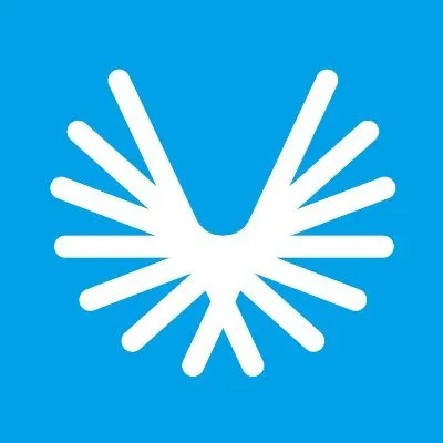 visualeader.com's icon