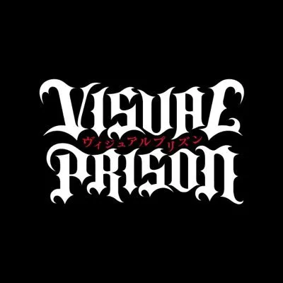 visualprison.com's icon