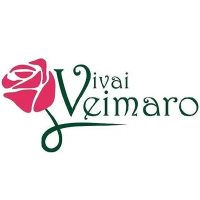 vivaiveimaro.com's icon
