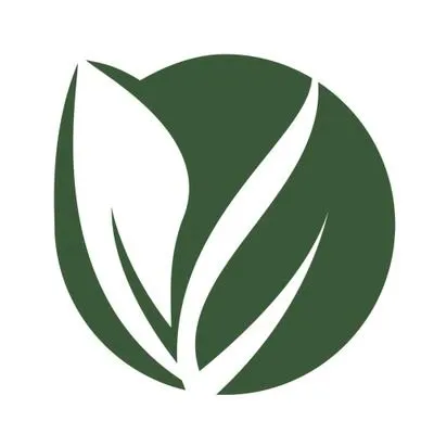 viveirorenascer.com's icon
