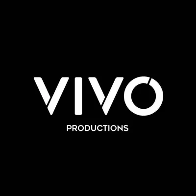 vivo-pro.com's icon