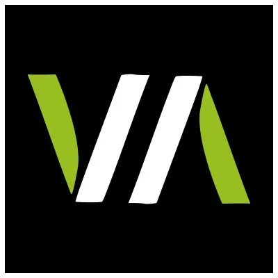 viyaenv.com's icon
