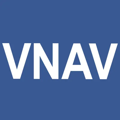 vnav.vn's icon