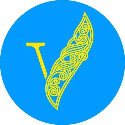 vnklinika.com's icon