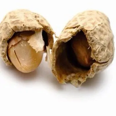 voedselallergie.nl's icon