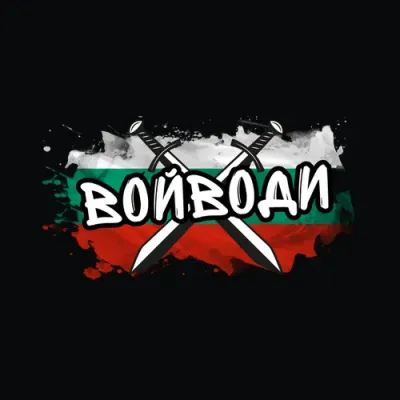 voivodi.com's icon