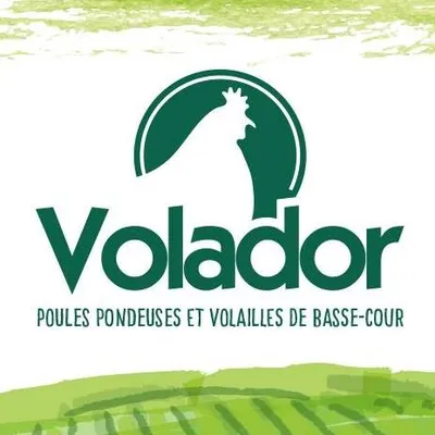 volador.fr's icon