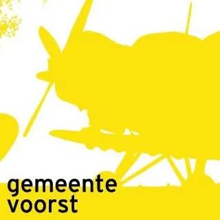 voorst.nl's icon