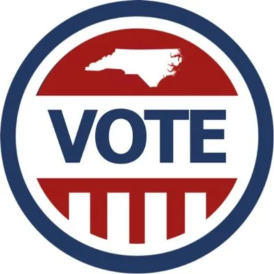 votestanlycountync.gov's icon