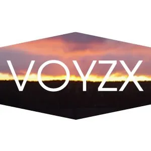 voyzxart.com's icon