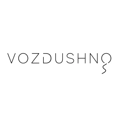VOZDUSHNO's icon