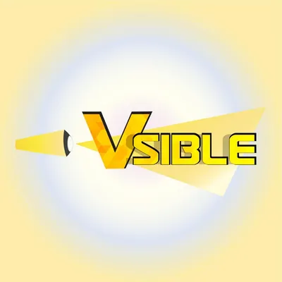 vsible.online's icon