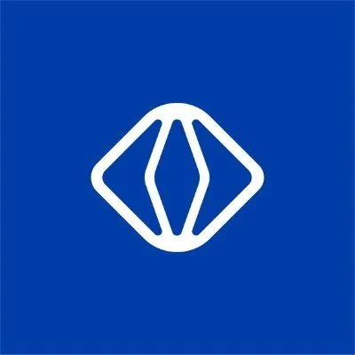 vsight.io's icon