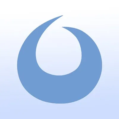 vso-software.fr's icon