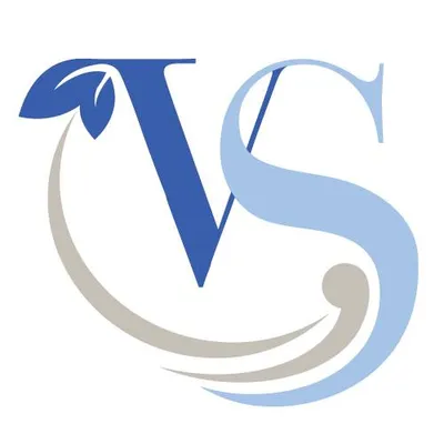 vsofm.com's icon