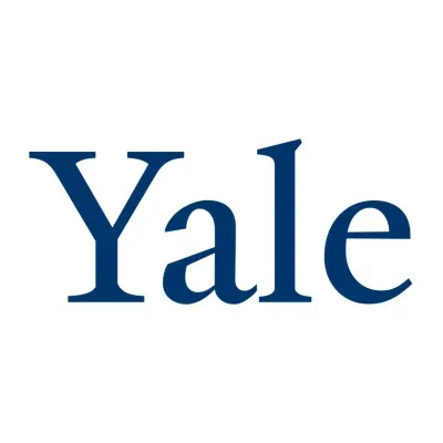 Vued's brand icon