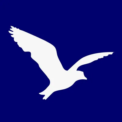 vueloenv.com's icon