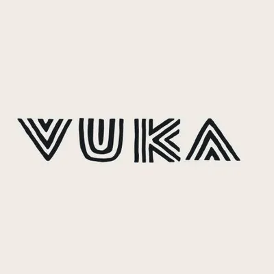 vukaaustin.com's icon