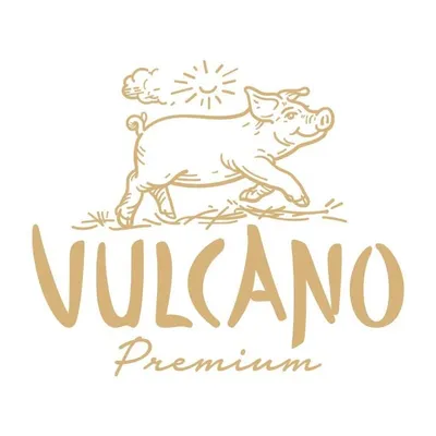 vulcano.at's icon