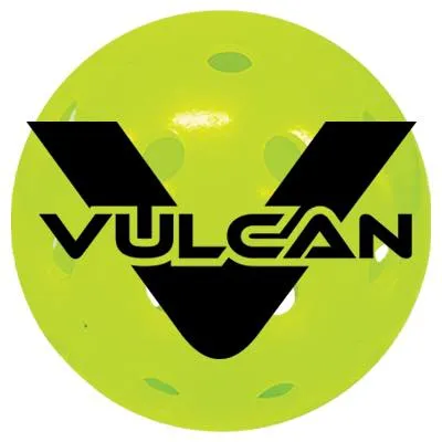 vulcansportinggoods.com's icon