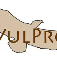 vulpro.com's icon