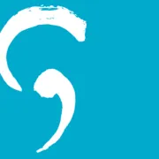vvgi.nl's icon