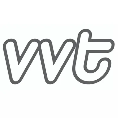 vvt.eu's icon